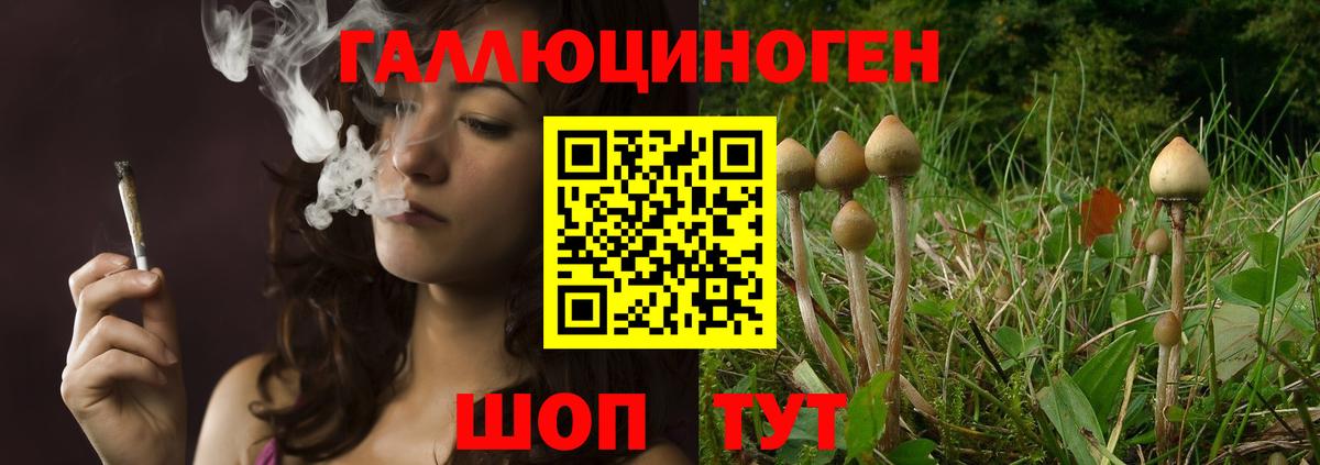 Псилоцибиновые грибы мухоморы Нефтеюганск